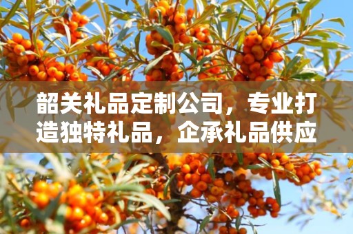 韶关礼品定制公司，专业打造独特礼品，企承礼品供应链引领行业新风尚